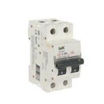 ARMAT (2ф) 50А C IEK (1)