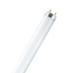 L36W/765 T8 OSRAM (25)