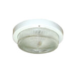 НПП 03-100-002 ТЕХАС IP65 "Селена-2"